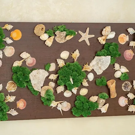 H Infinity Mamaia Nord 3* Năvodari